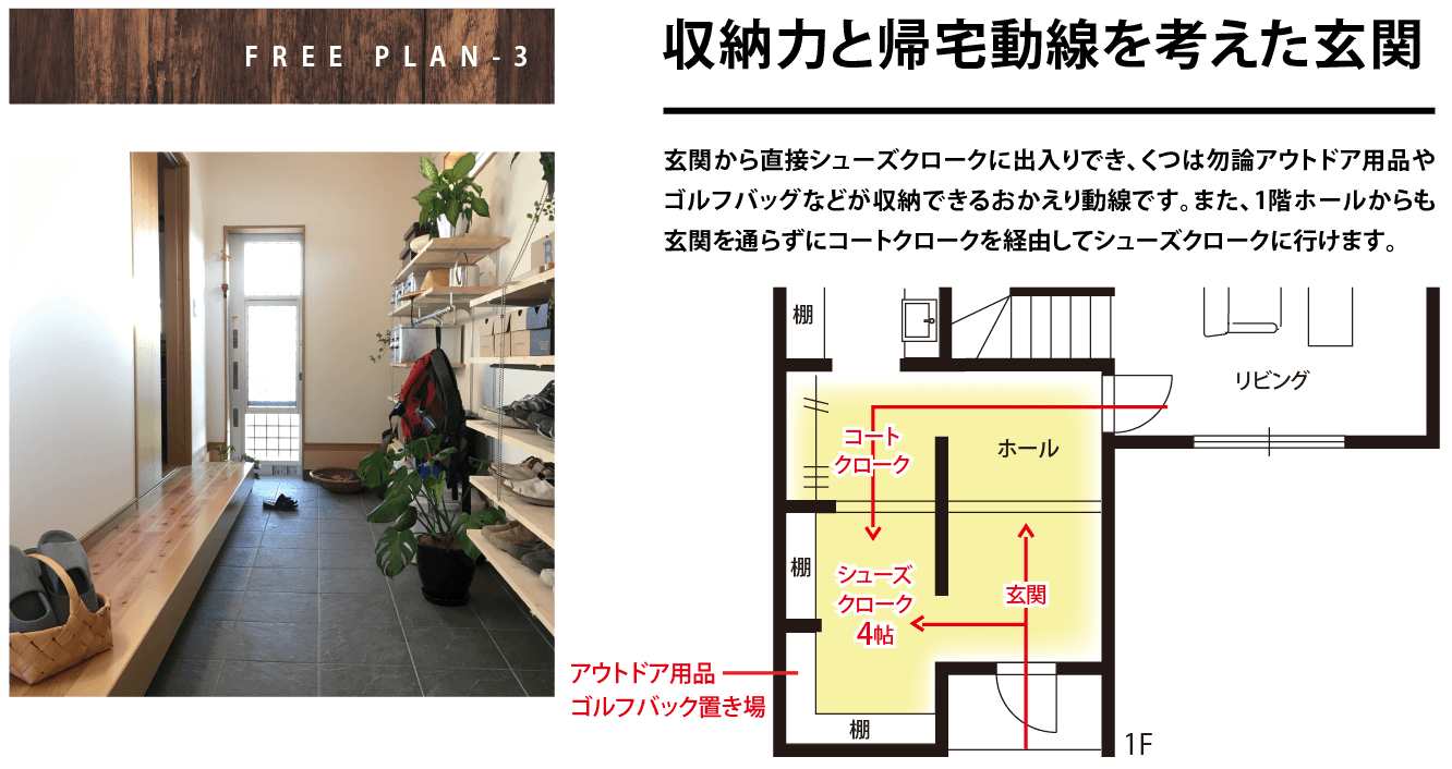 FREE PLAN-3