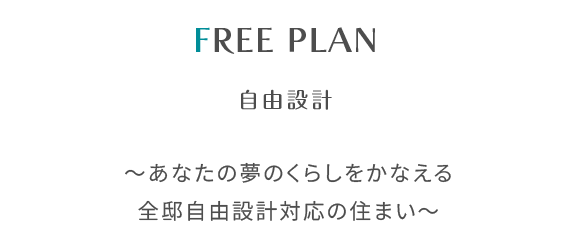 FREE PLAN