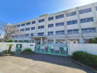 柳川小学校